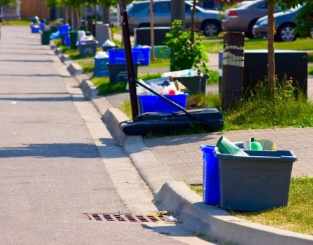 Community participating in a local clean-up event